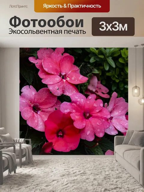 Фотообои Цветы