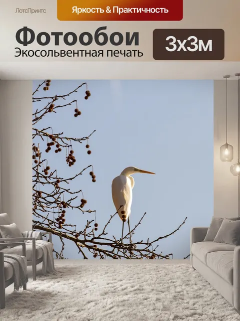 Фотообои Птицы