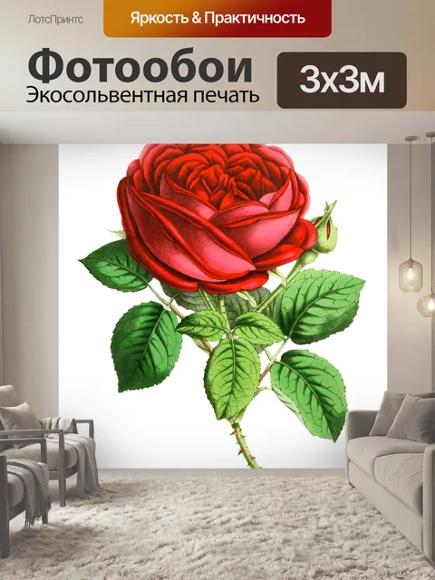Фотообои Роза цветок цвести винтаж