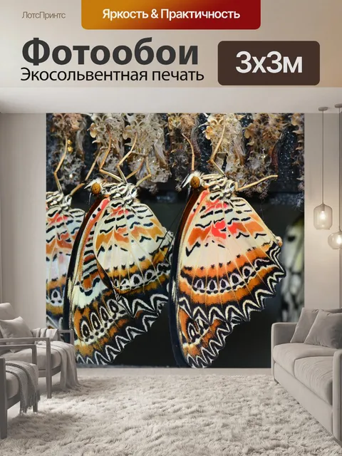 Фотообои Бабочки
