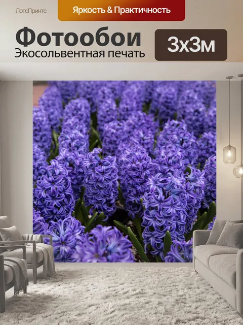 Фотообои гиацинт Цветы