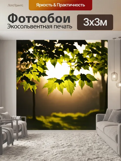 Фотообои каллиграфические узоры на солнечном свете, пробивающемся через листья деревьев, в акценте на свет и тени