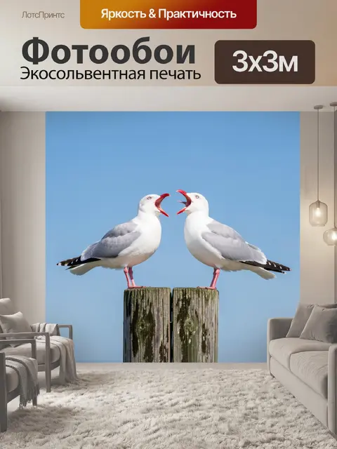Фотообои Две чайки на деревянных столбах