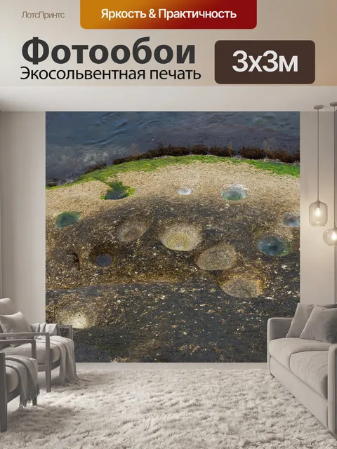 Фотообои Следы динозавров