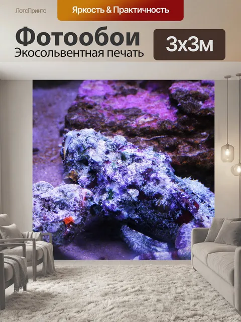 Фотообои каменная рыба в аквариуме