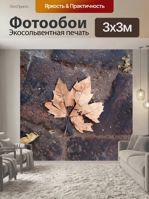 Фотообои разбившегося самолета лист