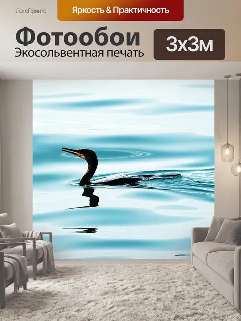 Фотообои Водоплавающая птица