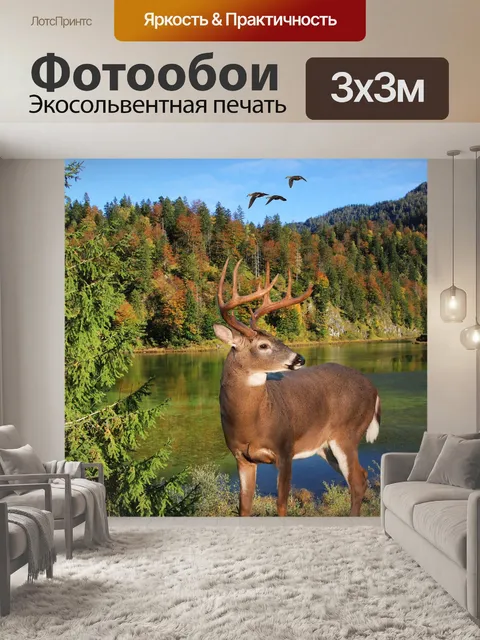 Фотообои Пейзаж