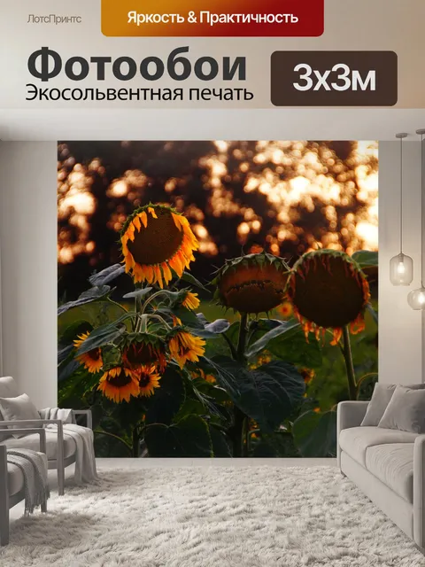 Фотообои Подсолнух закат фото