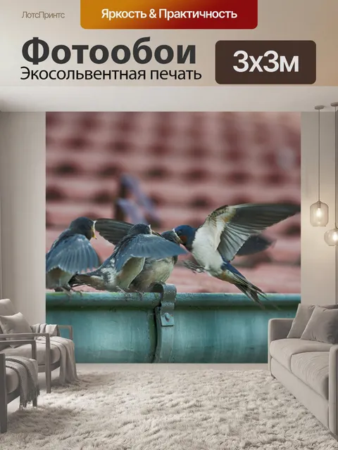 Фотообои Птицы