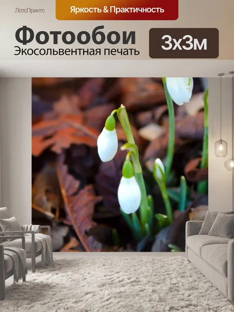 Фотообои Первый цветок весной