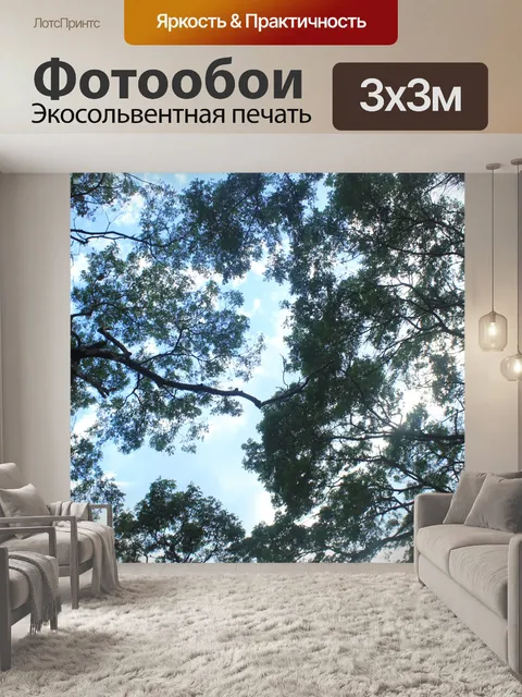 Фотообои Листья и стебли
