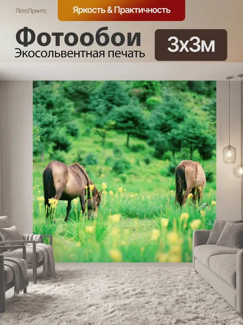 Фотообои Лошади