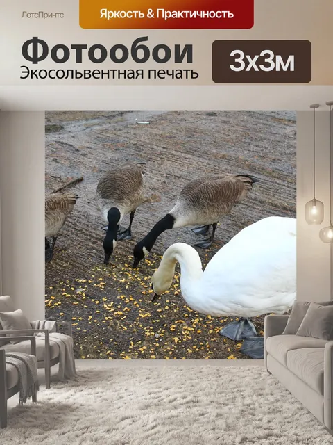 Фотообои Птицы