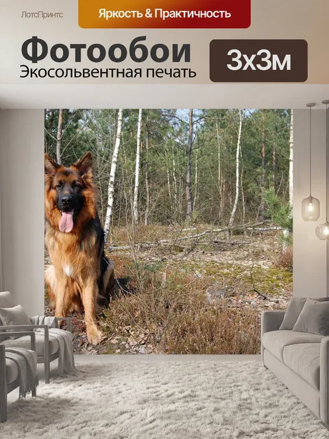 Фотообои Собака