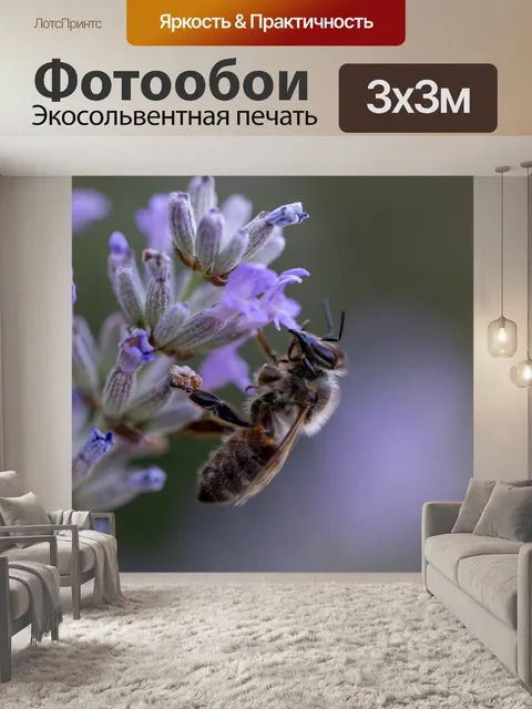 Фотообои Пчела