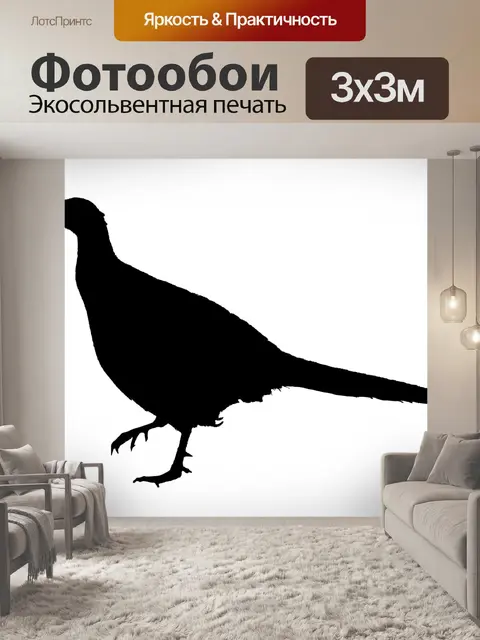 Фотообои Силуэт фазана
