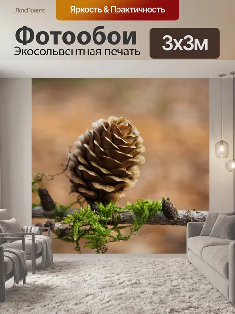 Фотообои Конус