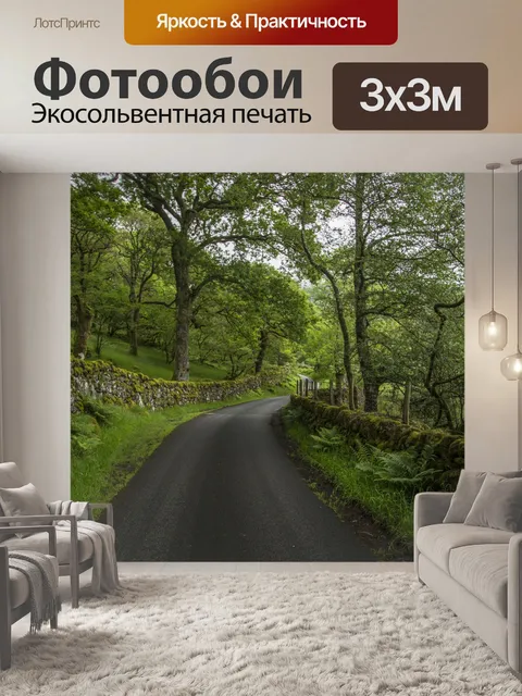 Фотообои Путь через лес
