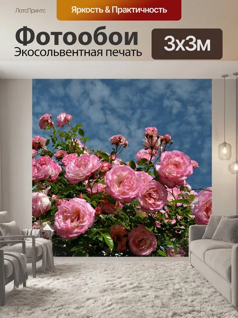 Фотообои Розы