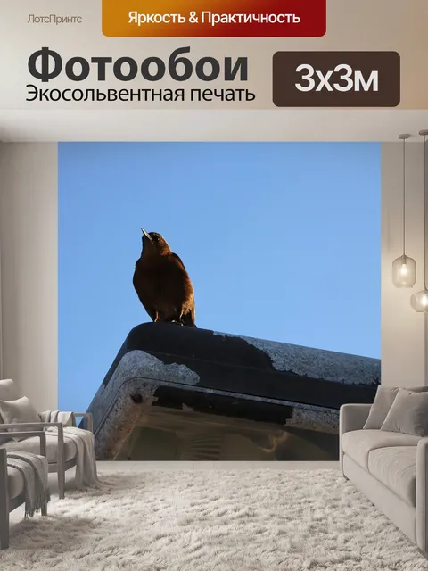Фотообои Птицы