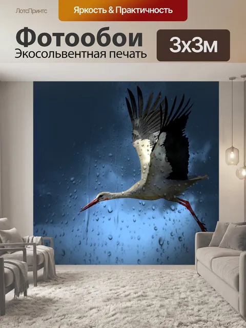 Фотообои Аист