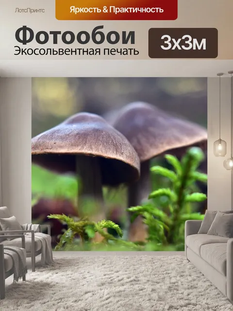 Фотообои Грибы