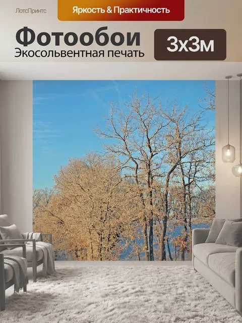 Фотообои Гель