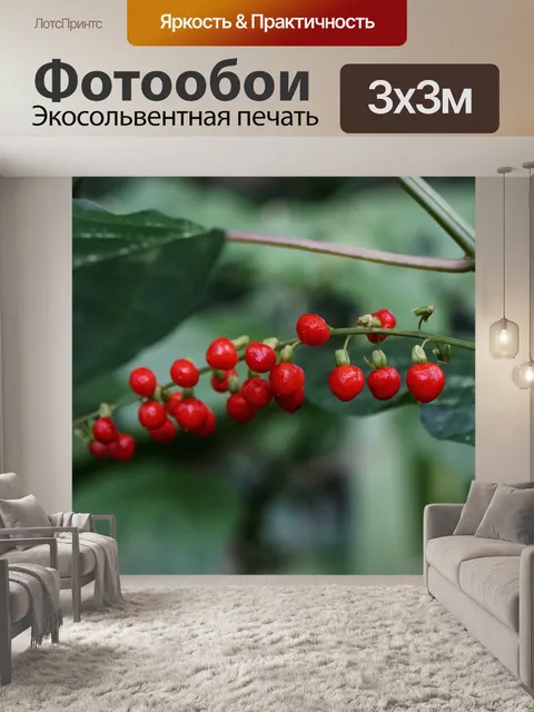 Фотообои Фрукты