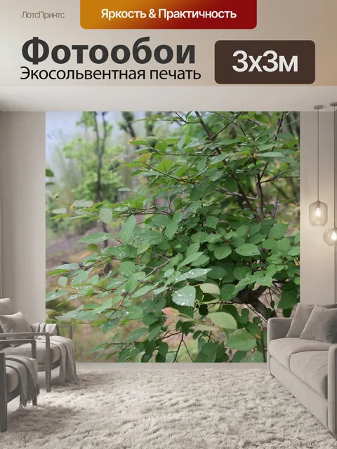 Фотообои Дерево