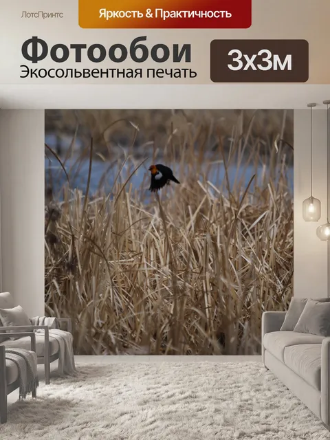 Фотообои Желтое крыло Blackbird
