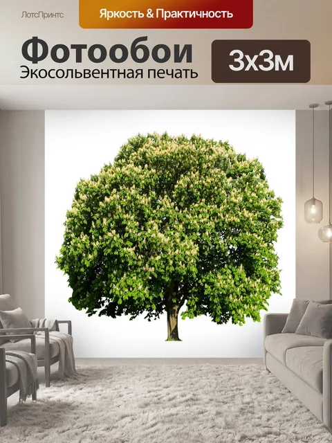 Фотообои Дерево