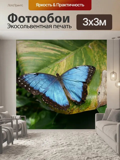Фотообои Бабочка