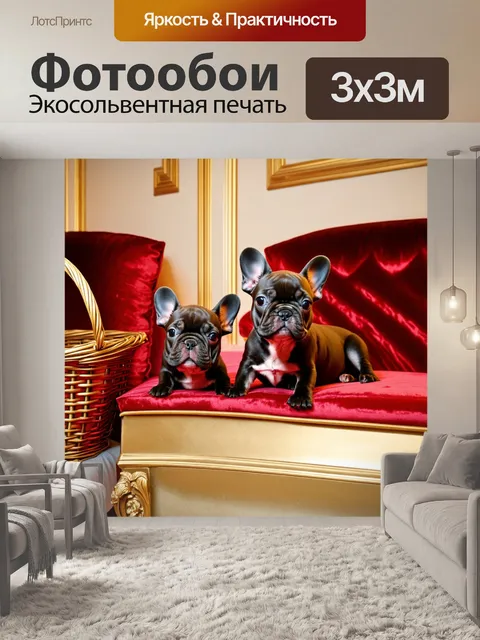 Фотообои щенки французского бульдога в роскошном, мягком интерьере с бархатными подушками и лепниной на стенах