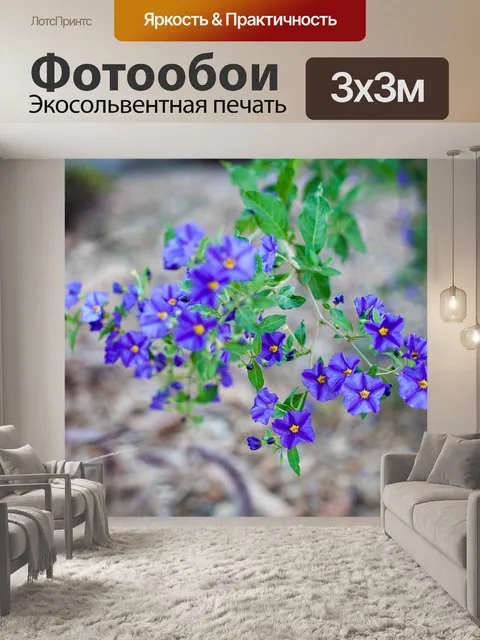 Фотообои Цветы листья