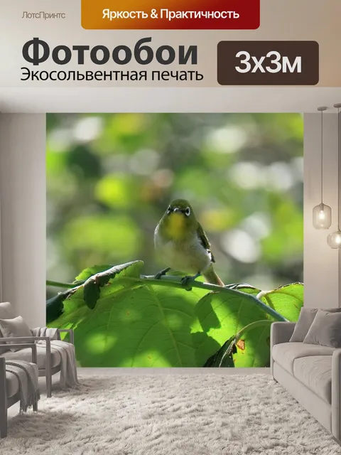 Фотообои Животное