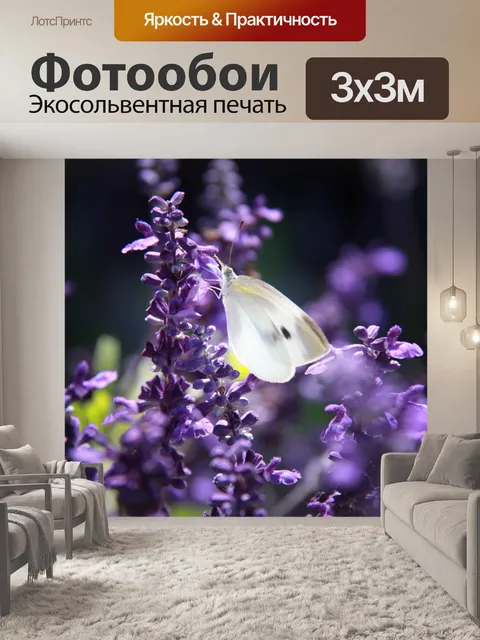 Фотообои Лаванда