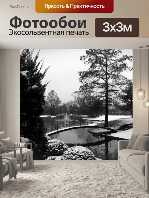 Фотообои Снежный мост и пруд