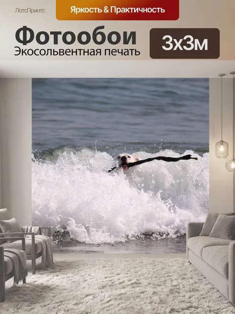 Фотообои Собака