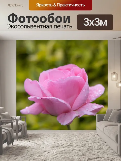 Фотообои Роза