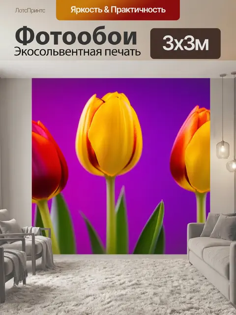 Фотообои тюльпаны с градиентным фоном