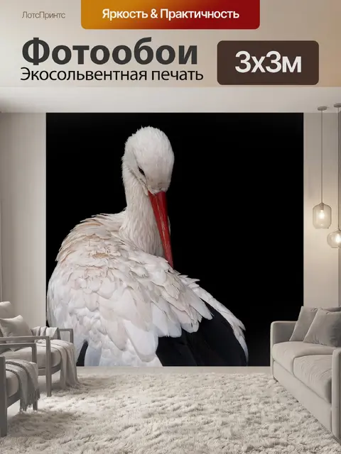 Фотообои Аист