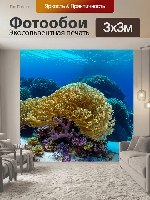 Фотообои подводные миры и коралловые рифы