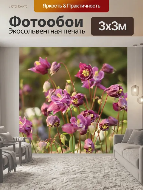 Фотообои Цветы