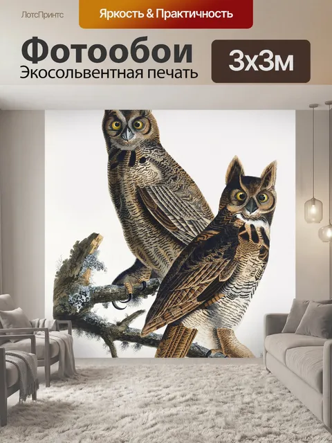 Фотообои Сова старинный плакат старый