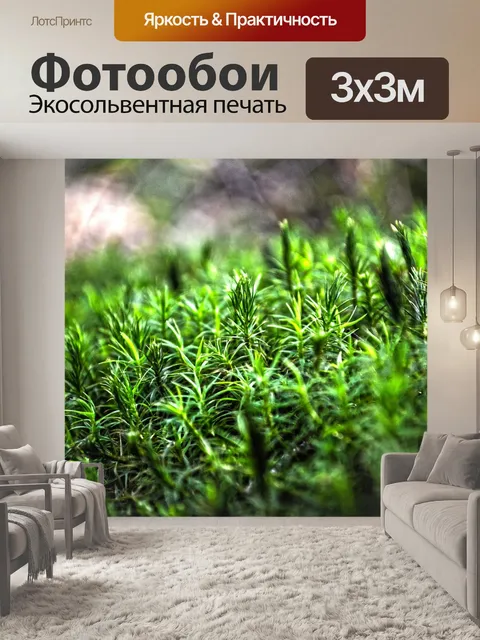 Фотообои Природа