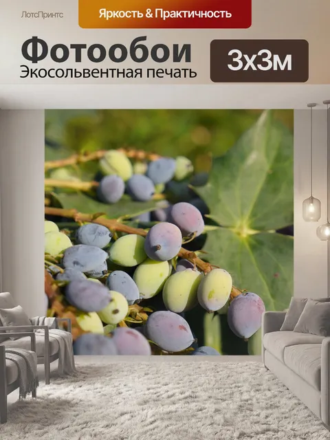Фотообои Фрукты