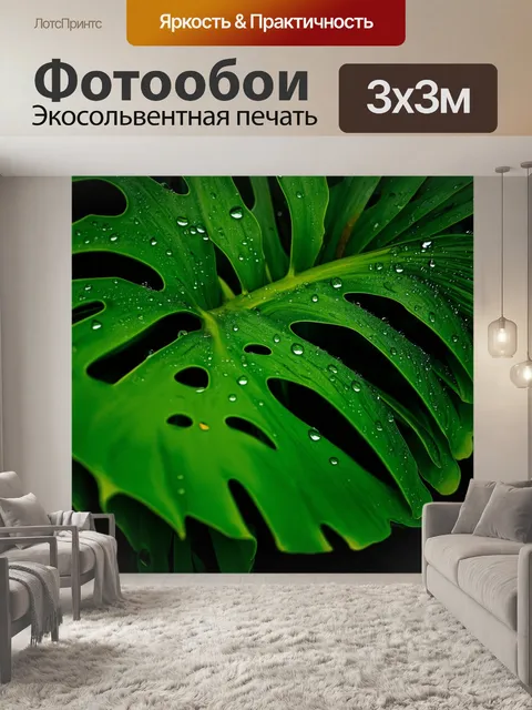 Фотообои вид на монстеру с близкого расстояния, где акцент сделан на капли росы на листьях