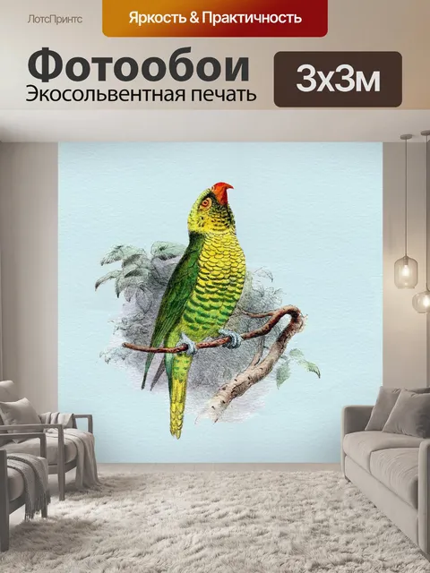 Фотообои Попугай акварельной живописи