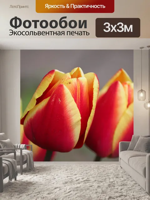 Фотообои Тюльпаны